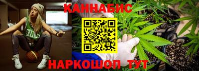 индика Ливны
