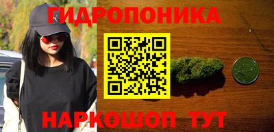 индика Ливны