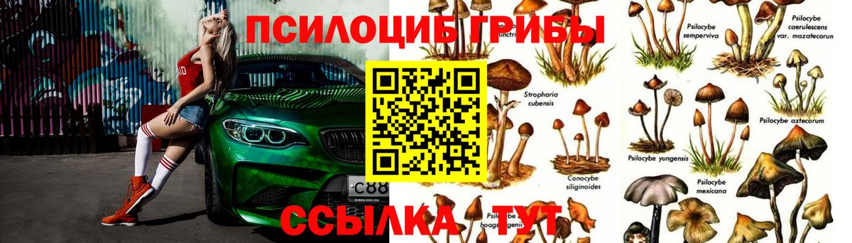 Псилоцибиновые грибы ЛСД Таганрог